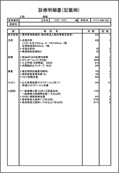 明細書　入院